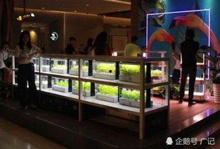 广州网红室内拍摄地点,广州网红室内拍摄圣地大盘点
