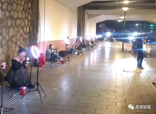 网红为什么喜欢桥洞直播,网红们的神秘魅力之地