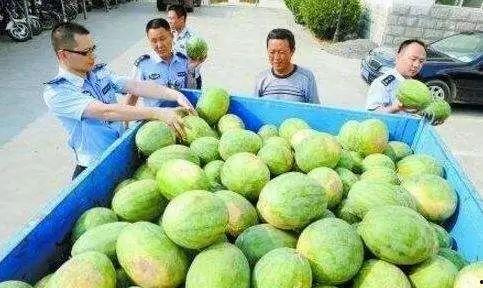 滨江业主群吃瓜,一场吃瓜盛宴背后的社区风云