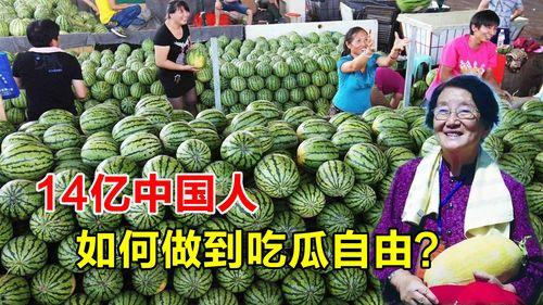 怎么卖吃瓜,轻松卖瓜，乐享丰收