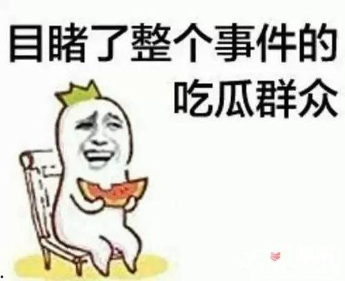 吃瓜老弟小说,揭秘娱乐圈背后的秘密与真相
