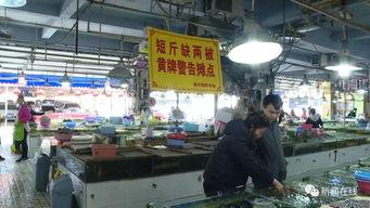 水产市场网红排名,揭秘热门水产达人