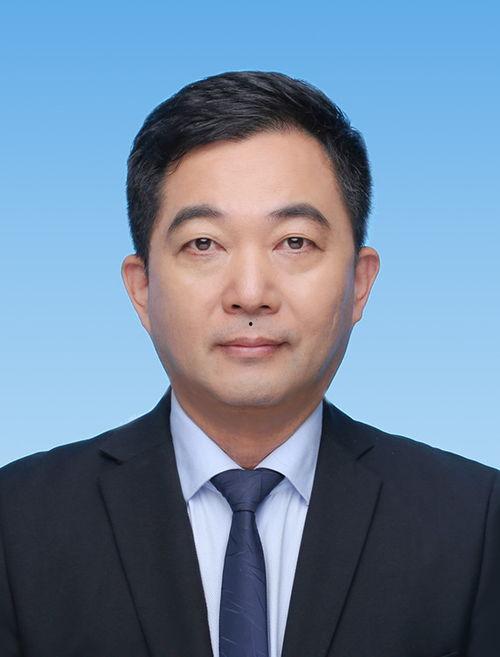 刘剑锋明星,星光璀璨的影视新星，演绎人生百态
