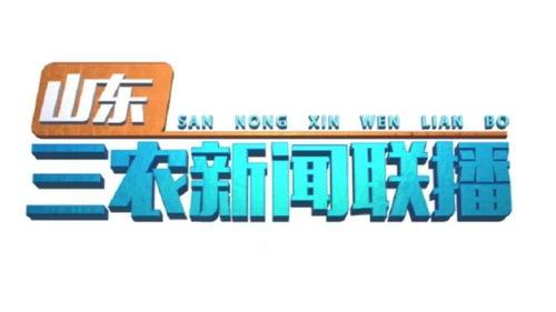 天门今日头条新闻农村,乡村振兴新篇章，绿色发展谱新篇