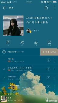 头条抖音最火歌曲大全,2023年度必听神曲大集合