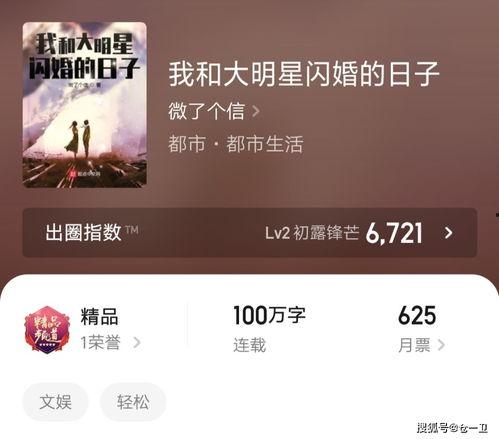 我和大明星闪婚目录,我与大明星的甜蜜闪婚之旅