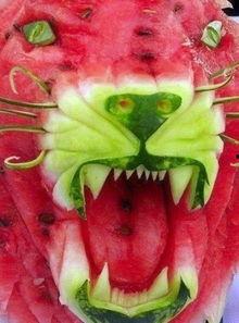 黑狐狸吃瓜,黑狐狸的瓜田奇遇记