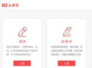 头条怎样注册视频号,头条用户如何快速注册并生成视频号