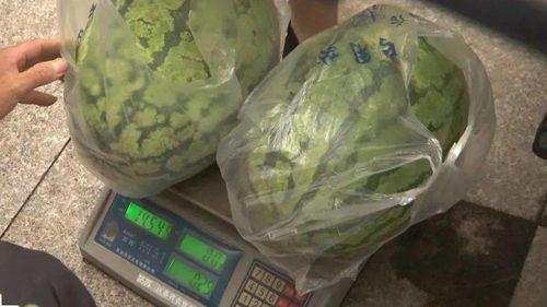 界首吃瓜事情,一场网络舆论的风暴与反思